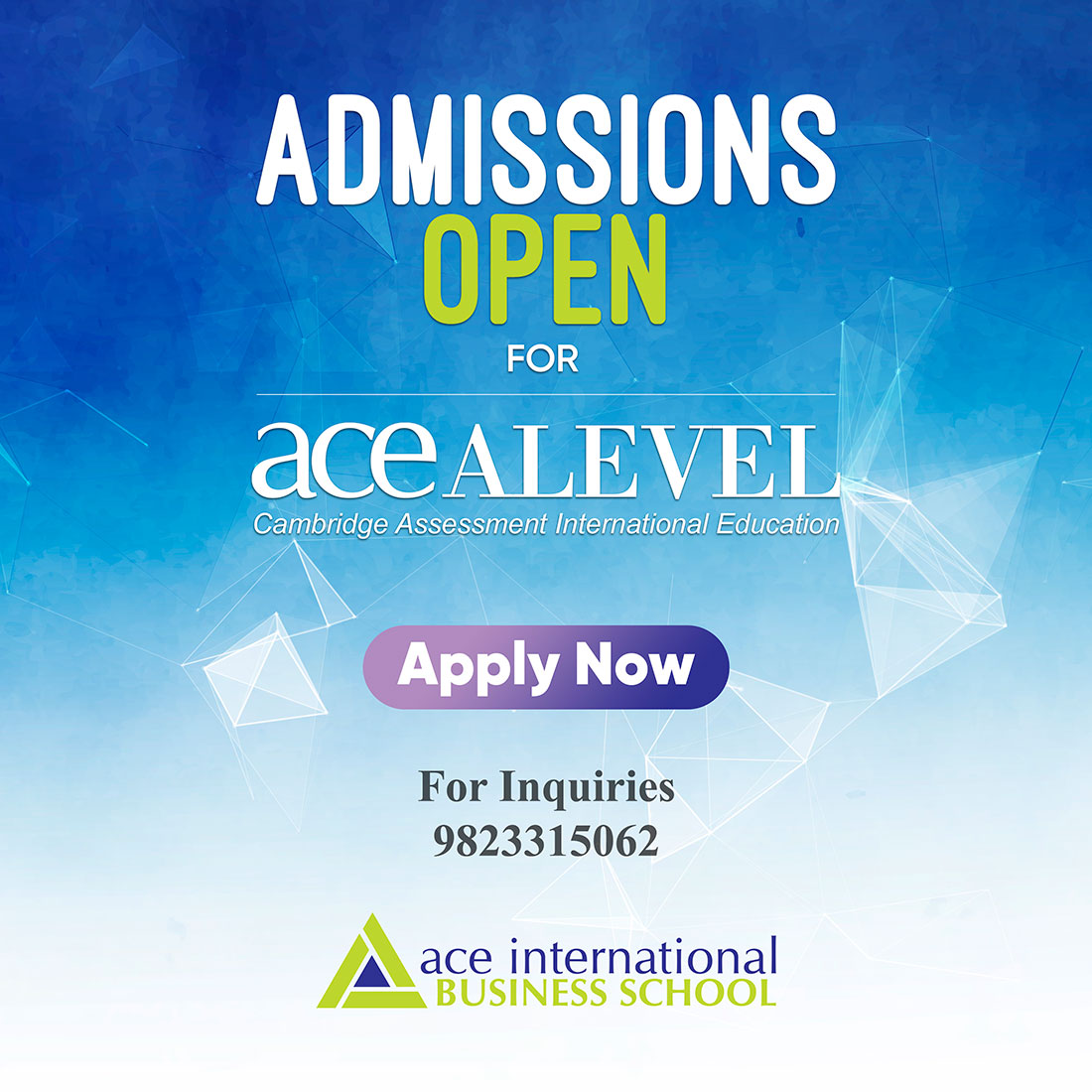 Ace Institute of Management | Ace International Business School